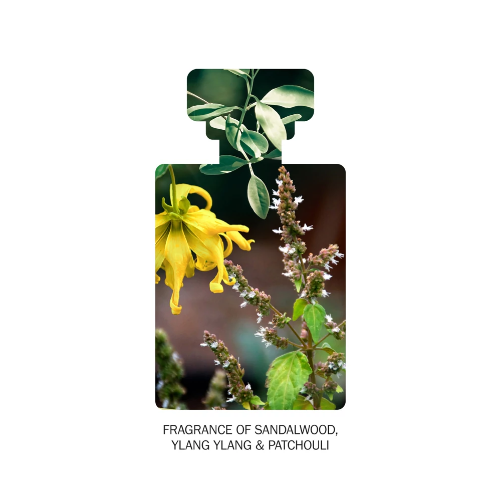 ANTIPODES AVOCADO PEAR Tápláló éjszakai arckrém