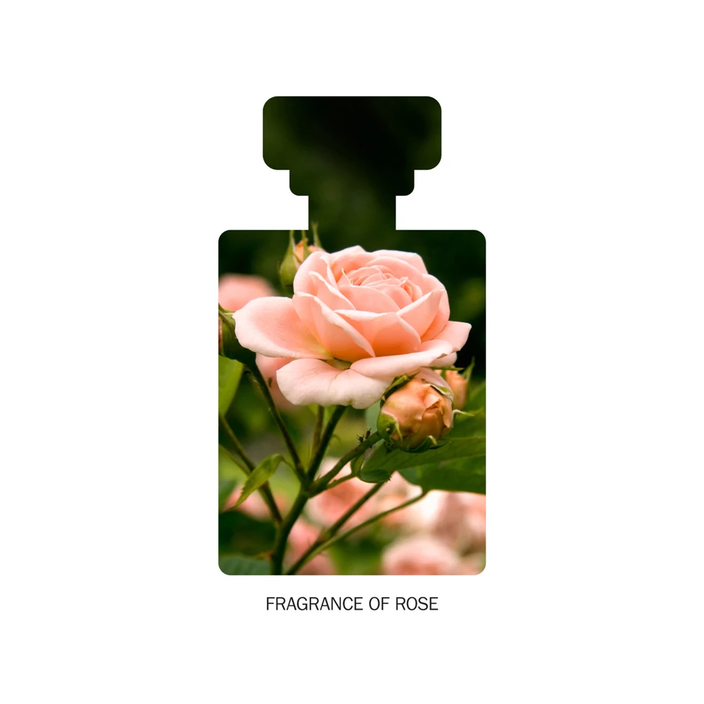 ANTIPODES BAPTISE H2O Ultra-hidratáló water gél