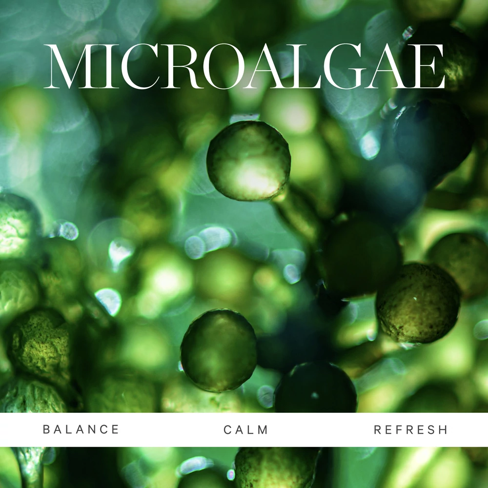 KORA ORGANICS Active Algae Nyugtató Arctisztító Balzsam