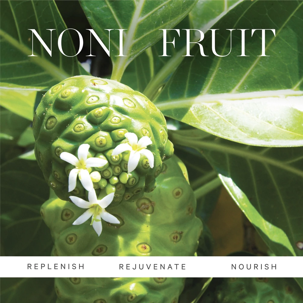 KORA ORGANICS Noni Night AHA Savas Bőrmegújító Éjszakai szérum