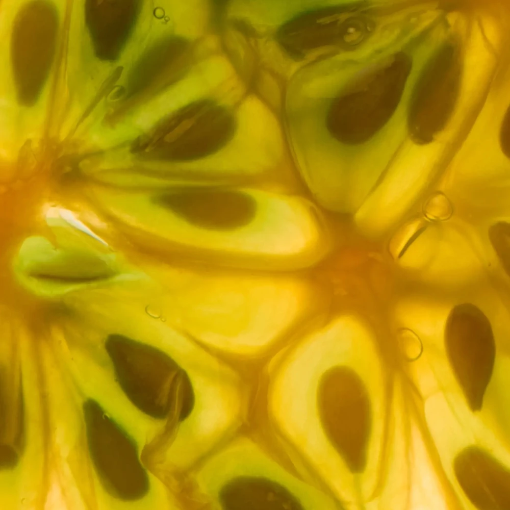 ABEL FRAGRANCE laundry day eau the parfüm