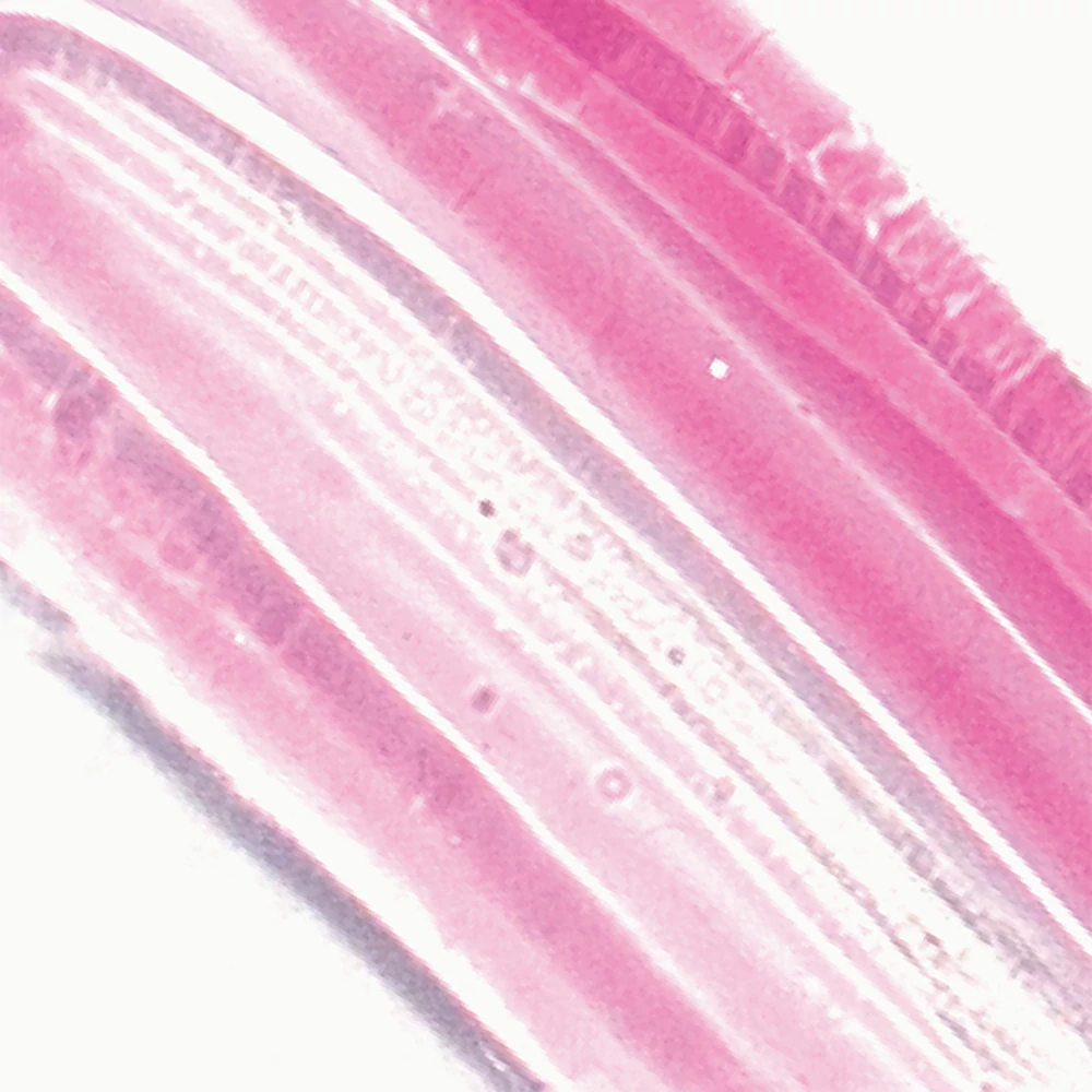 ERE PEREZ Mango Lip Honey ajakfény