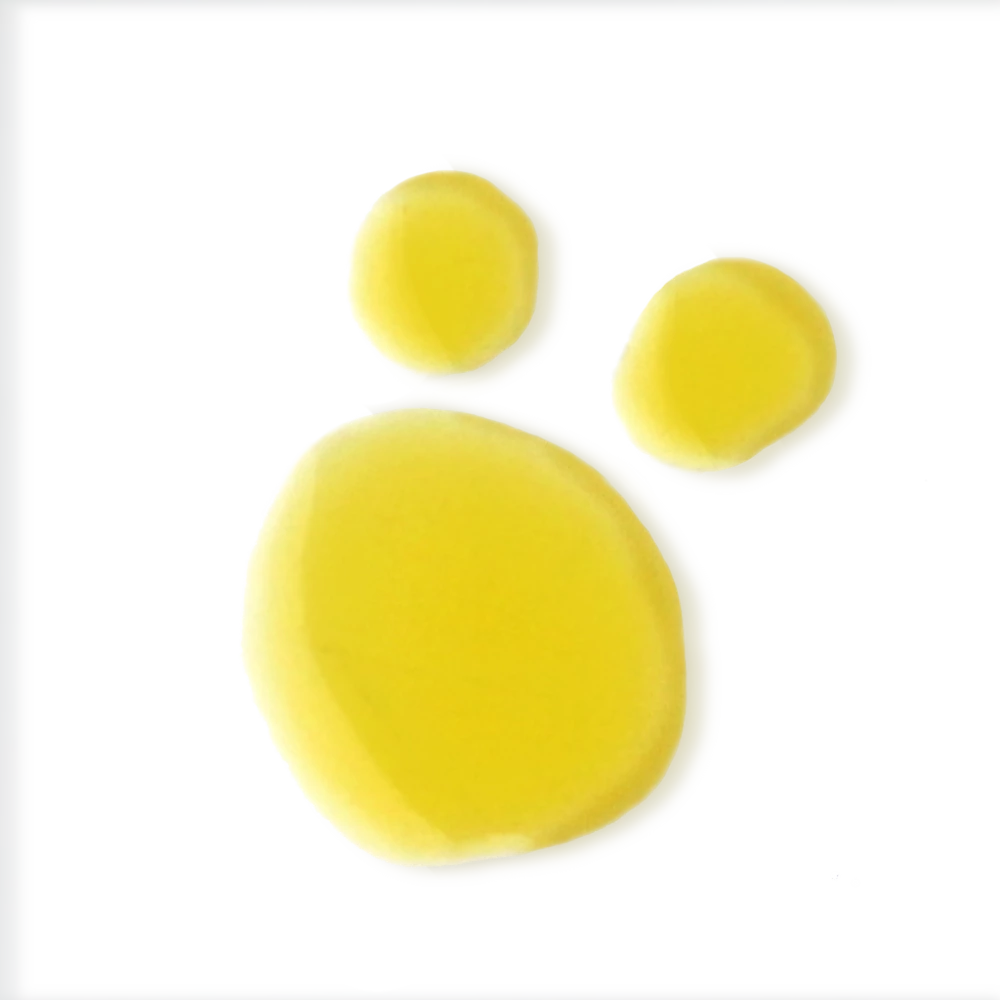 EVOLVE BIO-RETINOL és C-vitamin booster szérum