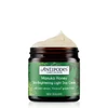 Kép 1/5 - ANTIPODES MANUKA HONEY nappali arckrém a ragyogó bőrért