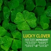 Kép 4/5 - CRAZY RUMORS LUCKY CLOVER AJAKÁPOLÓ