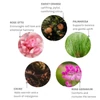 Kép 2/3 - EVOLVE WILD DIVINE AROMATERÁPIÁS ILLÓOLAJ KEVERÉK