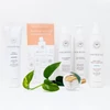 Kép 2/2 - INNERSENSE Clean Hair Intro Kit hajápoló szett színezett hajra