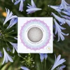 Kép 6/8 - KONJAC SPONGE MANDALA ARCSZIVACS HIDRATÁLÓ ALOE VERÁVAL