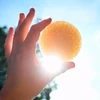 Kép 6/6 - KONJAC SPONGE MANDALA ARCSZIVACS SÁRGA KAOLIN AGYAGGAL