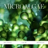 Kép 4/7 - KORA ORGANICS Active Algae Frissítő Arcpermet