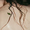 Kép 5/5 - MÁDARA WILD WOODS hidratáló folyékony szappan
