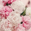 Kép 3/3 - NAILBERRY Lélegző körömlakk  - PEONY BLUSH