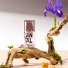 Kép 2/4 - SOLINOTES SANTAL EDP - SZANTÁL, 15ml