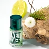 Kép 2/4 - SOLINOTES VETIVER EDP - VETIVERFŰ, 15 ml