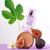 Kép 4/5 - SOLINOTES FIGUIER EDP - FÜGEFA, 50ml