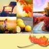 Kép 3/3 - YANKEE CANDLE AUTUMN SUNSET SIGNATURE TUMBLER NAGY