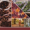 Kép 2/2 - YANKEE CANDLE AUTUMN DAYDREAM AROMALÁMPÁBA VALÓ ILLATOS VIASZ ÚJ