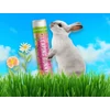 Kép 3/5 - CRAZY RUMORS LEAPING BUNNY® Szilvás-sárgabarackos ajakápoló balzsam
