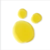 Kép 2/3 - EVOLVE BIO-RETINOL és C-vitamin booster szérum