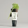 Kép 5/5 - SALT & STONE Vízálló SPF30 fényvédő krém