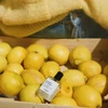 Kép 3/5 - VERSATILE presser le citron EAU DE PARFÜM ROLL ON