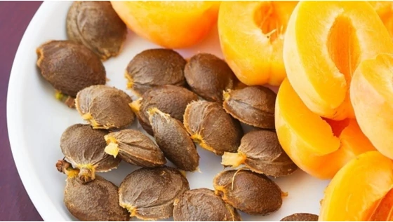 Sárgabarackmagolaj, az új bőrápoló csodaszer