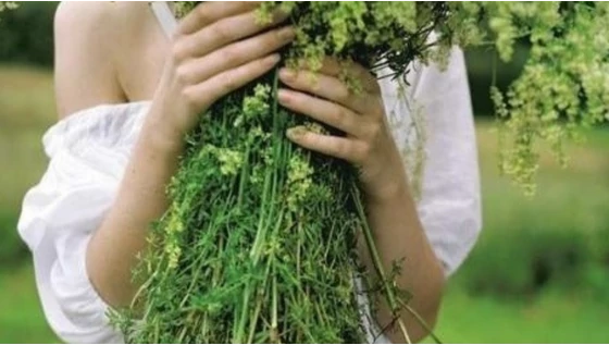 A MÁDARA megérkezett Magyarországra!