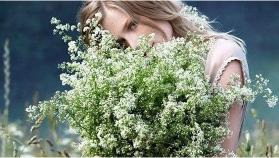 A balti növények varázslatos ereje