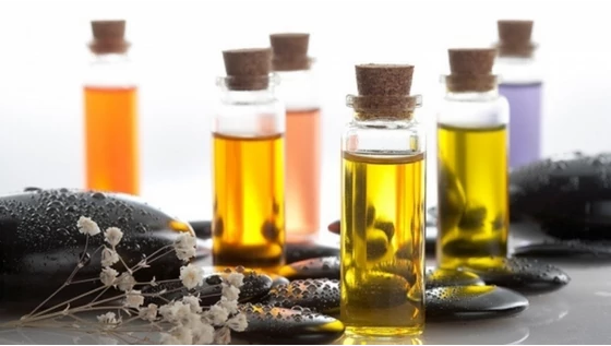 A szépségipar 7 kedvenc növényi olaja