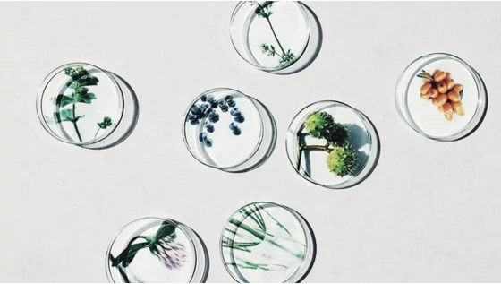  2016 legnagyobb újítása a Time Miracle termékekben