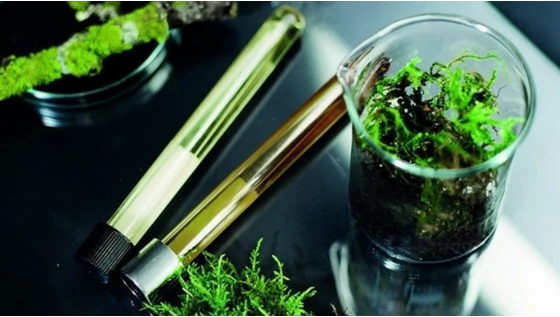  Mit tartogat számodra a természetes bőrápolás 2017-ben?