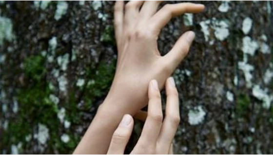 Így találkozhatsz a Mádarával