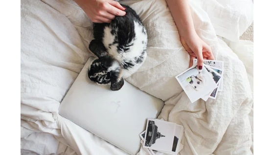 Minden, amit a vegán sminkekről tudni érdemes