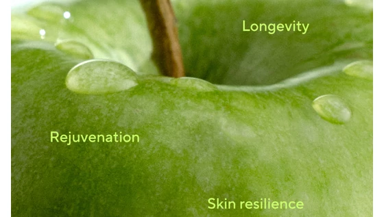 Hírvivők a bőröd mélyén: miért az exoszóma a skin longevity kulcsa?